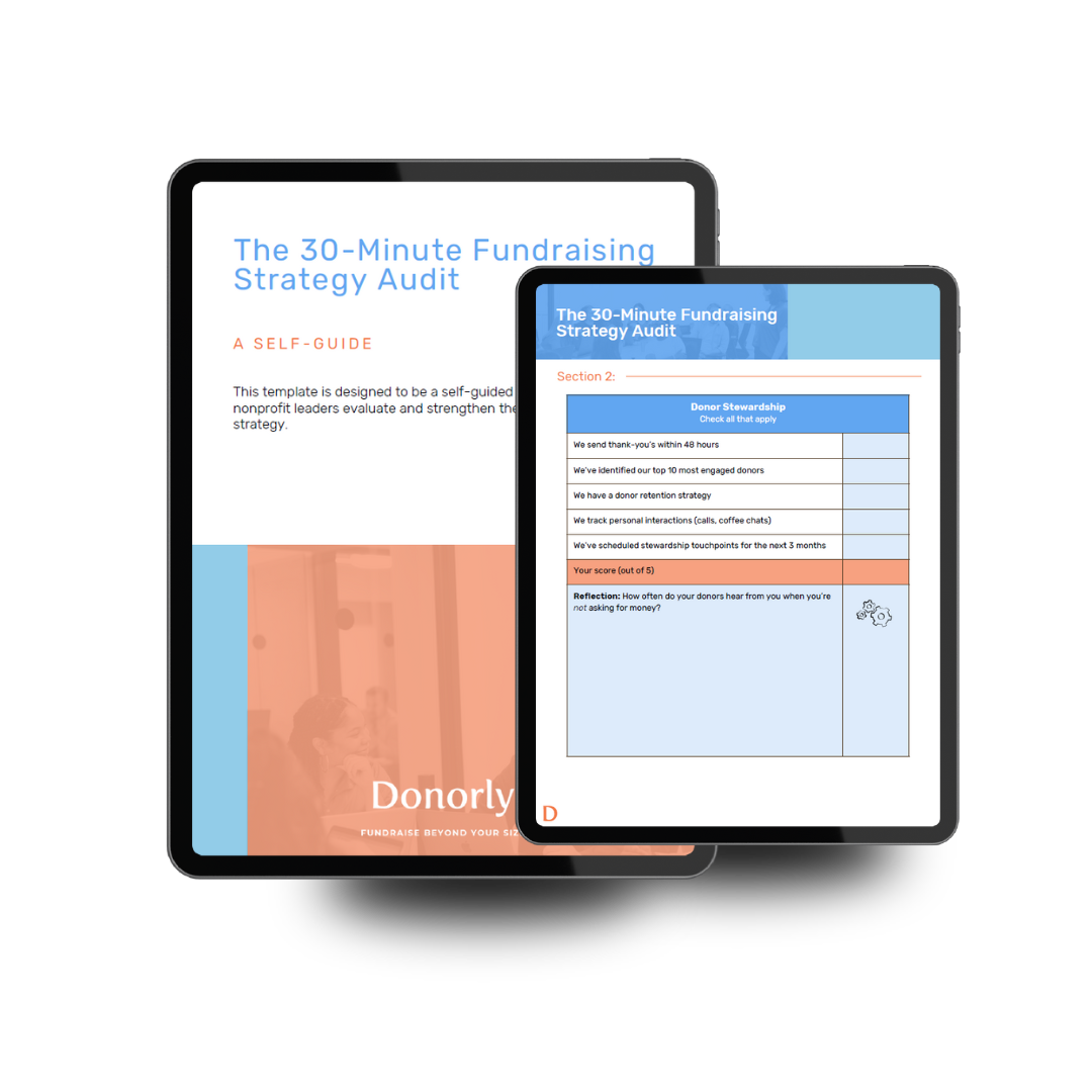Donorly's 30 - Minute Fundraising Strategy Audit free template